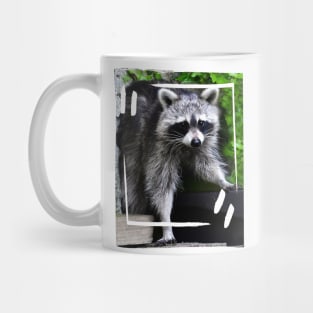 Cute Raccoon Mug